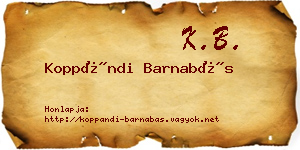 Koppándi Barnabás névjegykártya